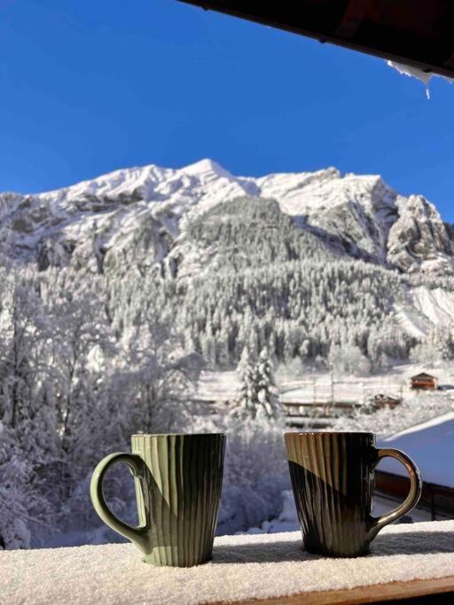 Apartamento Peacefull Mountains View Kandersteg Exterior foto