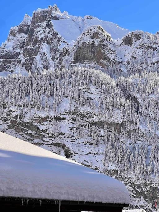 Apartamento Peacefull Mountains View Kandersteg Exterior foto
