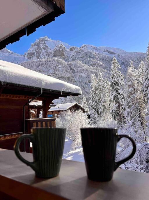 Apartamento Peacefull Mountains View Kandersteg Exterior foto